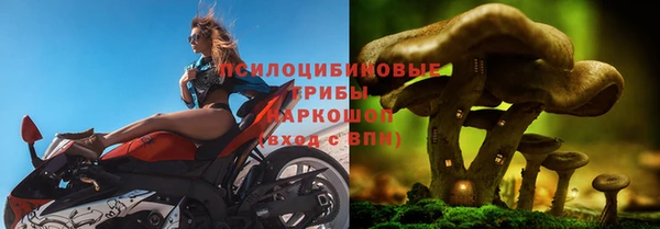 a pvp Дмитриев